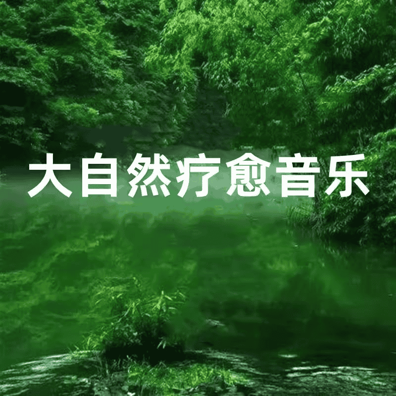 大自然音乐系列合集