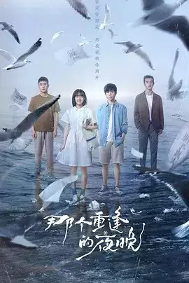 那个重逢的夜晚 (2024) 1080P 国语中字 12集全