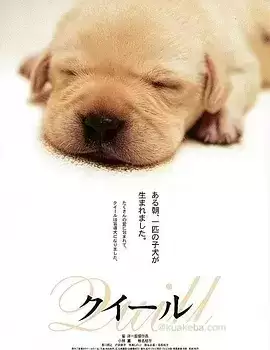 导盲犬小Q (2004) 1080P 国粤日三语中字