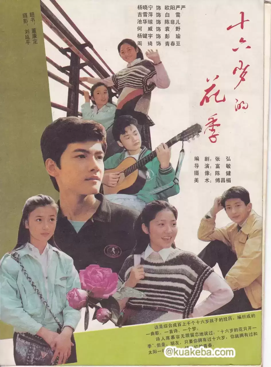 十六岁的花季 (1990) 1080P 国语中字 12集全