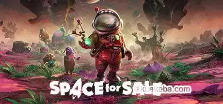 太空房地产/Space for Sale-游戏