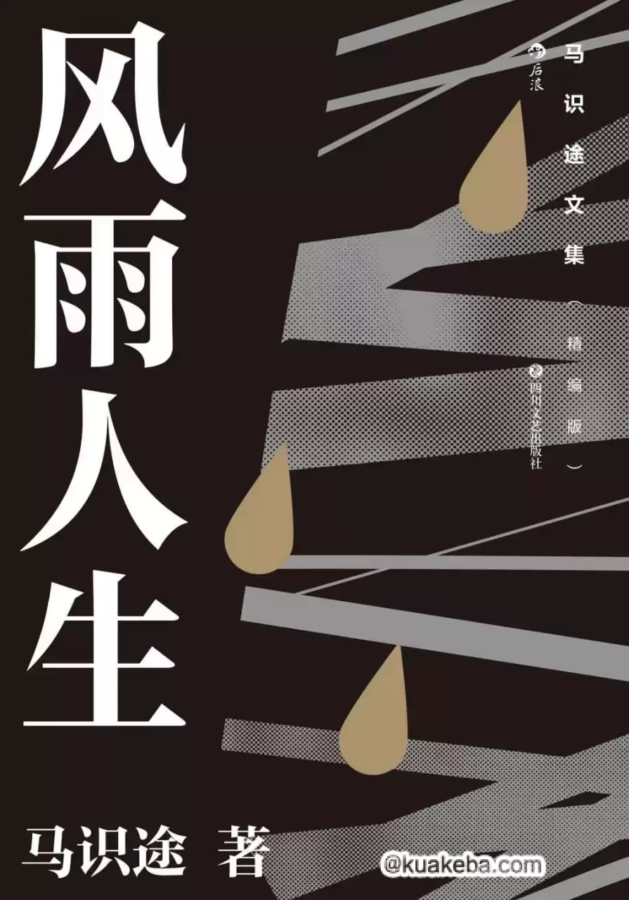 马识途文集（精编版）风雨人生 [﻿小说文学] [pdf+全格式]