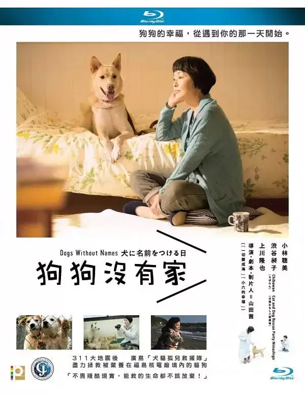 为你取名的那一天 (2015) 高清1080P.日语中字